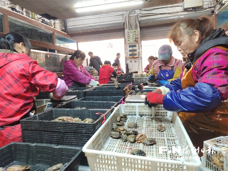 Fuzhou Attracts Visitors with Its Abundant Seafood and Fresh Flavors