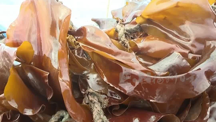 南方首次！就在福州！