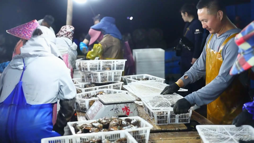央视关注福州：3万吨鲍鱼错峰上市