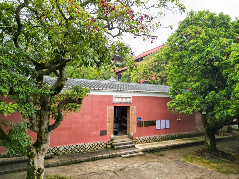 Lianjiang's summer fruit extravaganza: A symphony of sweetness in Fuzhou's orchards