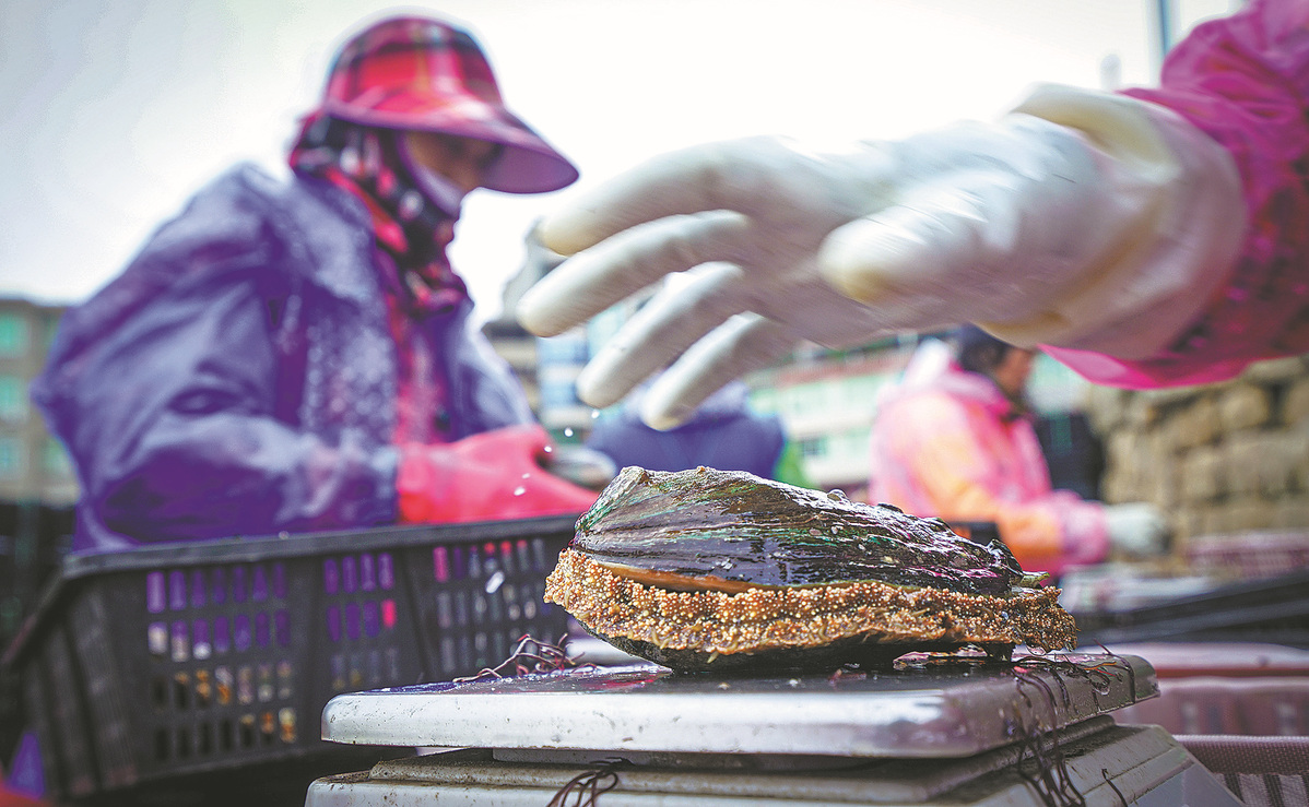 A sea change for abalone