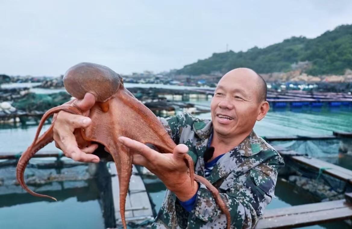 Squirmy crop harvested in waters off Fujian
