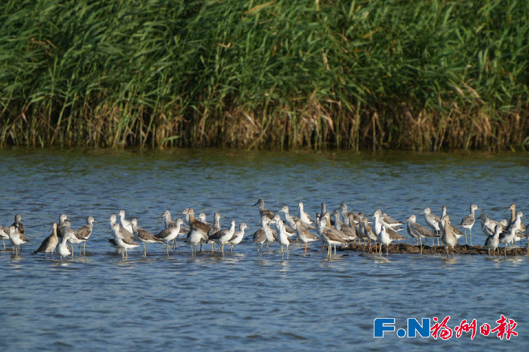 Winning the Highest Honor! What Benefits Will It Bring to Fuzhou Residents? Let’s See Details→