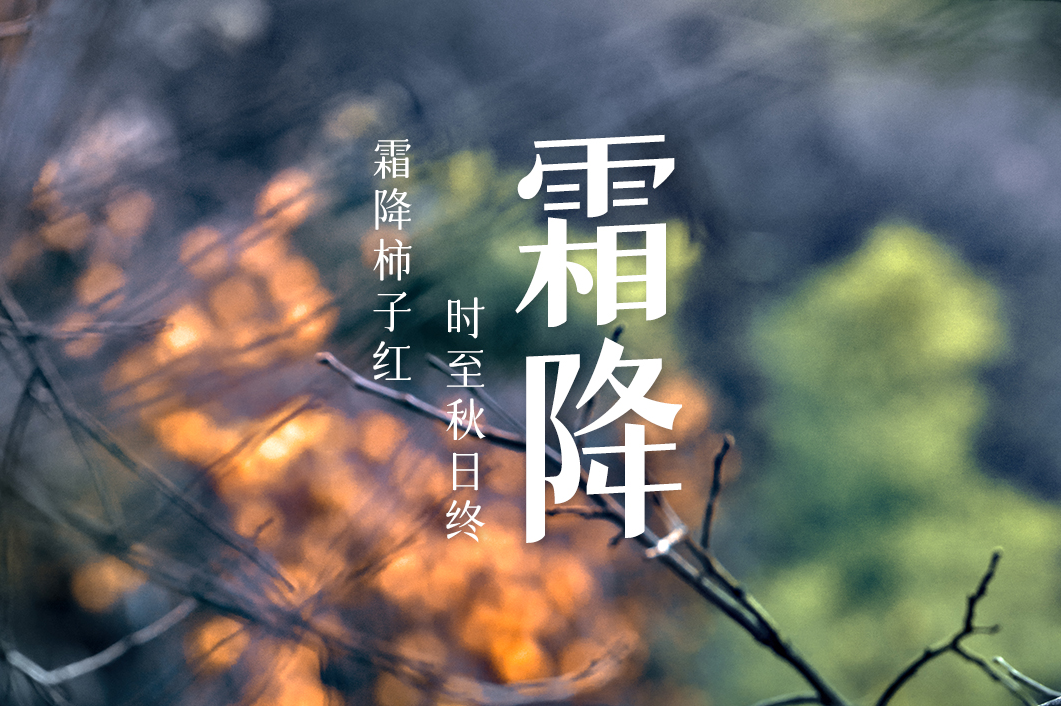 霜降时节别忘留下这些味觉记忆：红红火火吃柿子 暖身暖心“灴糟羊”