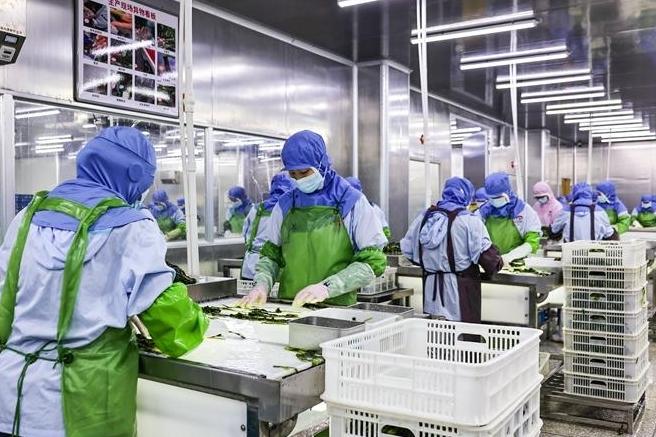 福州海带“闯海外” 推动技术研发与产品创新