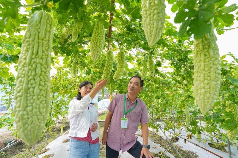 福州这场会观摩“吃苦”！“白富美”“蓝胖子”出道！