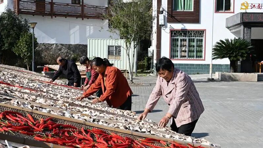 冬日时节的北峰 “晒”出乡村甜蜜新产业
