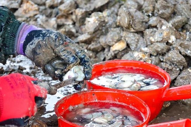 “蛎”害了！连江海蛎饼上了央媒