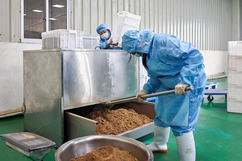 福州“东方橄榄油”香飘海外