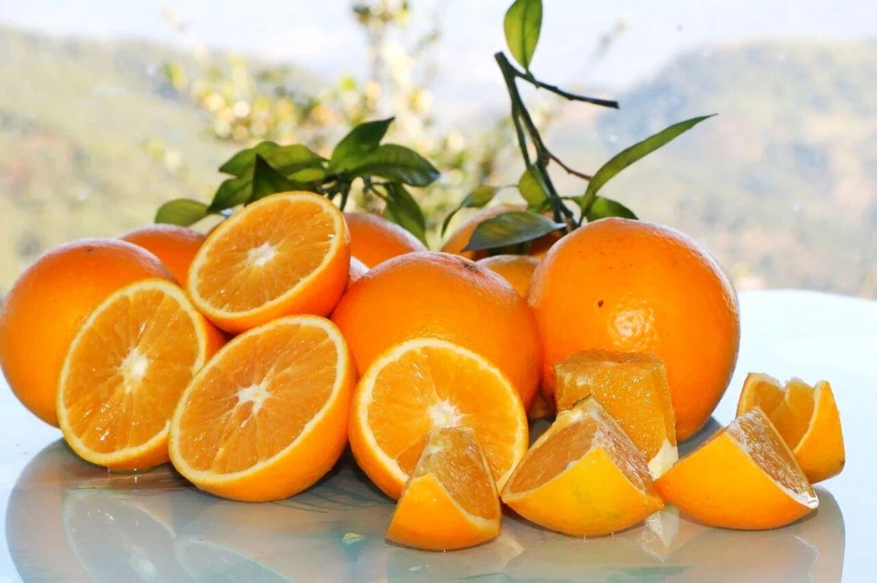 福州企业获得全省柑橘赛金奖