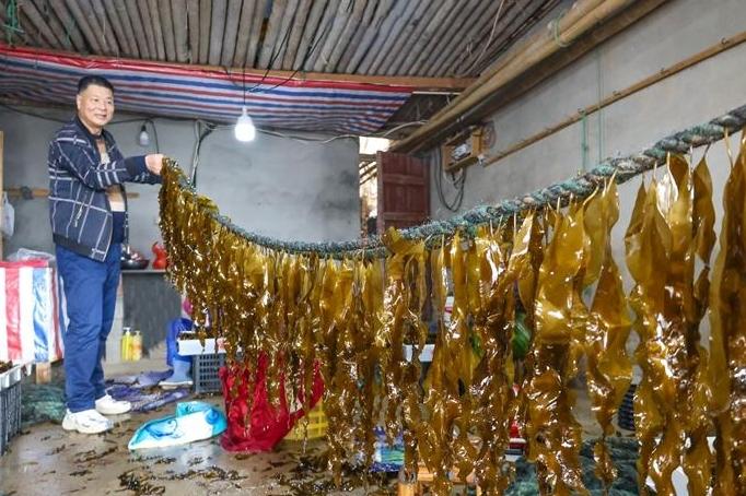 福州“海带芯”上央视