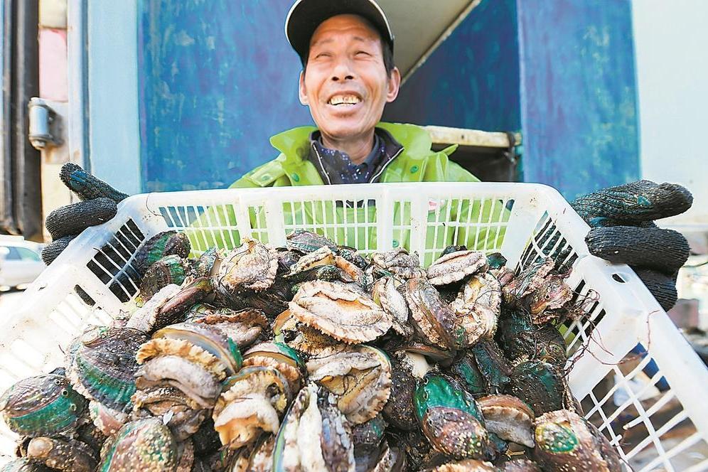 30年养殖，3.75万吨年产量，33亿元年产值！罗源“鲍富”新渔歌