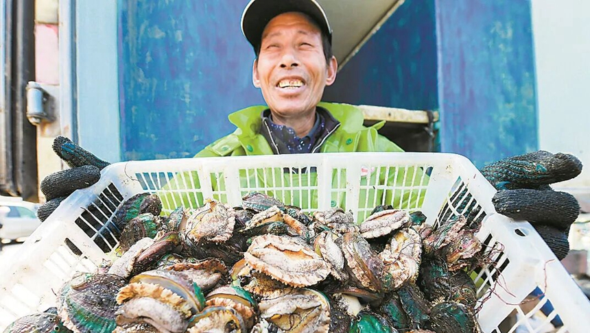 央视关注罗源：鲍鱼丰收 产销两旺