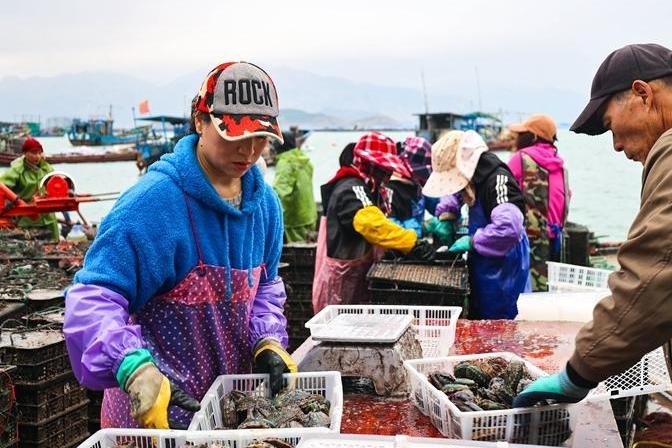 ​在连江，吃透“一粒鲍”需要几步？