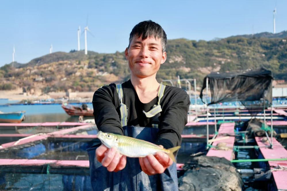 连江巴浪鱼抢滩新春餐桌