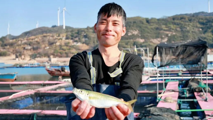 央视关注福州！70万条人工养殖巴浪鱼供应节前市场