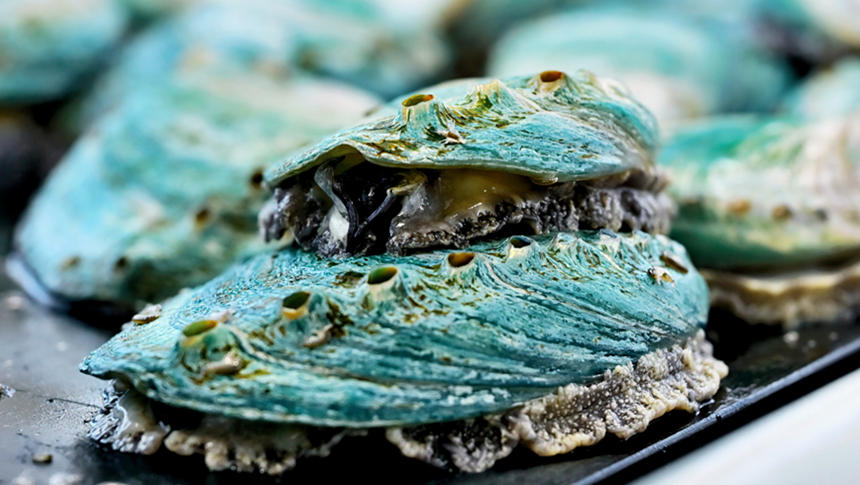 央视关注福州！新春风物财：“鲍”出连江 “丸”美飘香