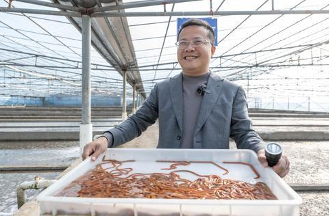 福州有“种” “马”上丰收